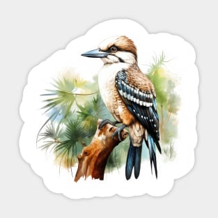 Kookaburra Sticker